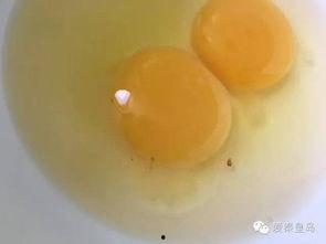 网友爆料鸡蛋视频大全,鸡蛋视频大全，揭秘烹饪技巧与美食诱惑